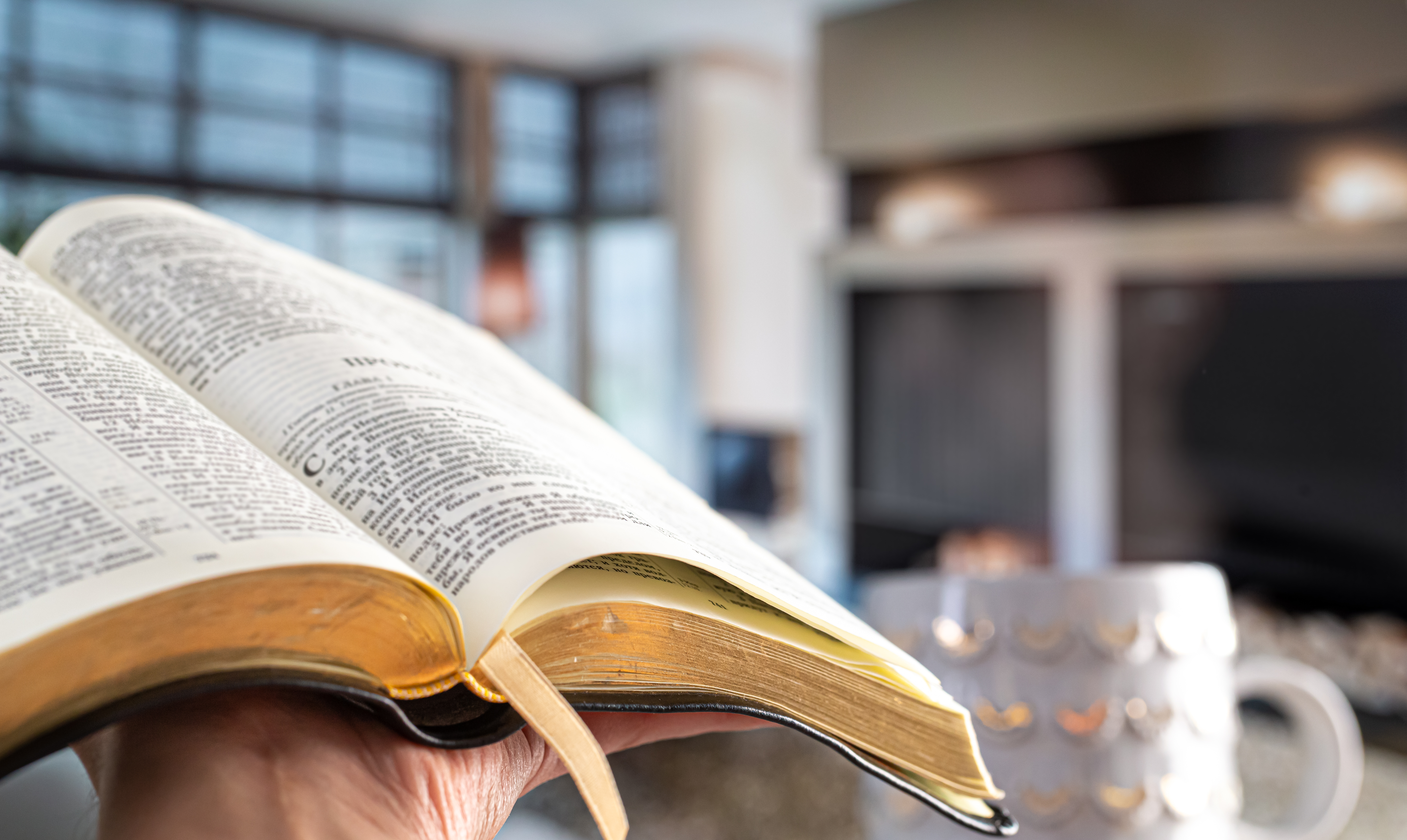 Cenário acolhedor de leitura e estudo, remetendo a formação e profundidade